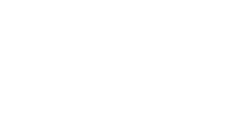 Transition to Success logo